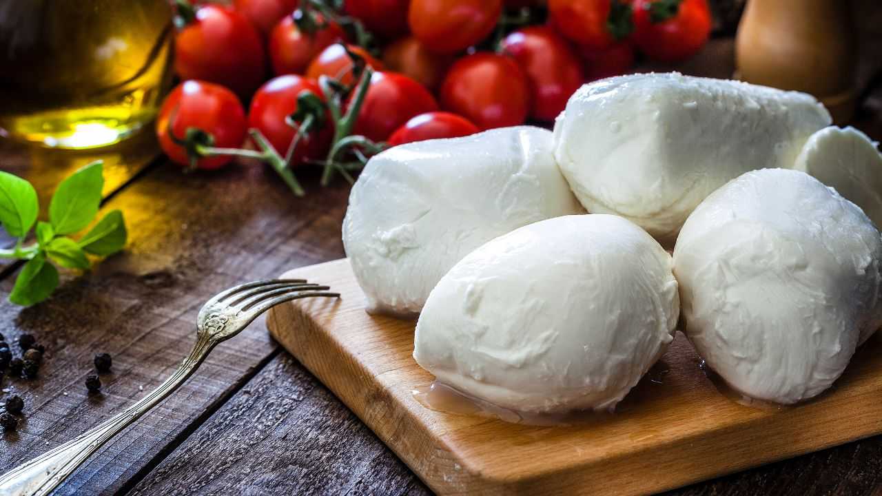 mozzarella bar