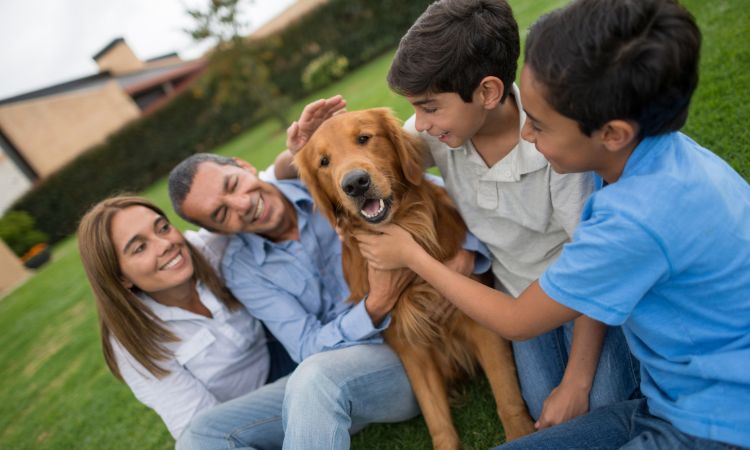 bonus famiglia