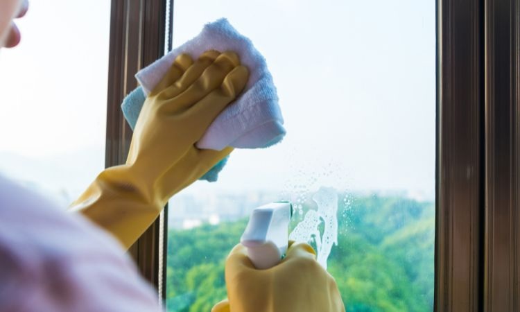 pulizia finestre