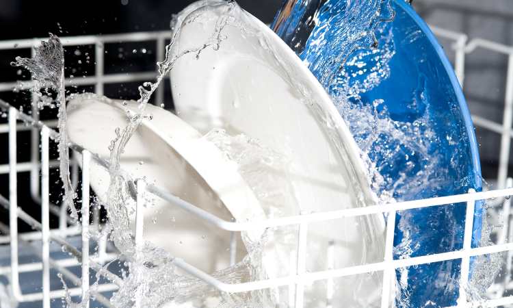 Lavastoviglie pulire filtro metodo rimedio veloce igienizzare disinfettare piatti pentole cucina stoviglie posate
