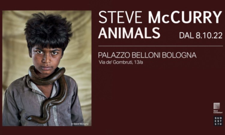 Steve McCurry mostra bologna 