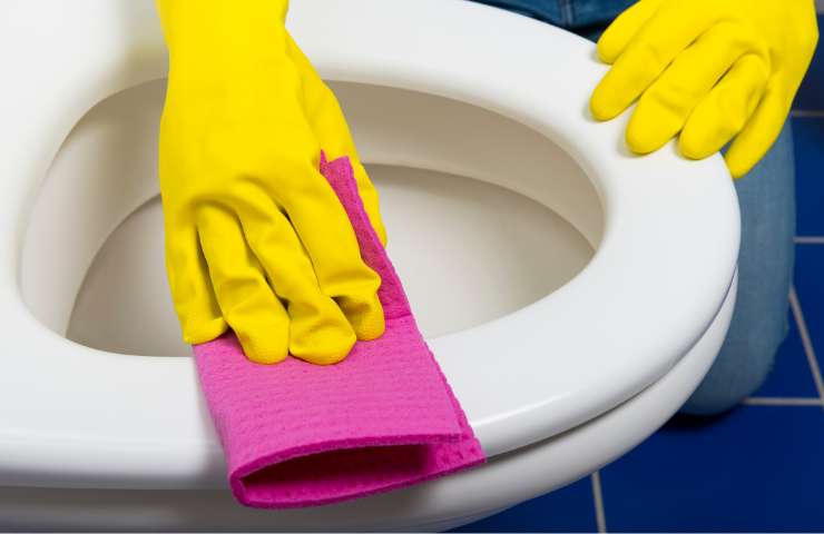 pulire i sanitari opachi