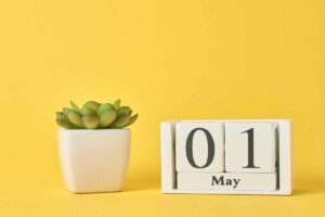 primo maggio: cosa cambia in busta paga?