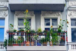 quali piante mettere in balcone