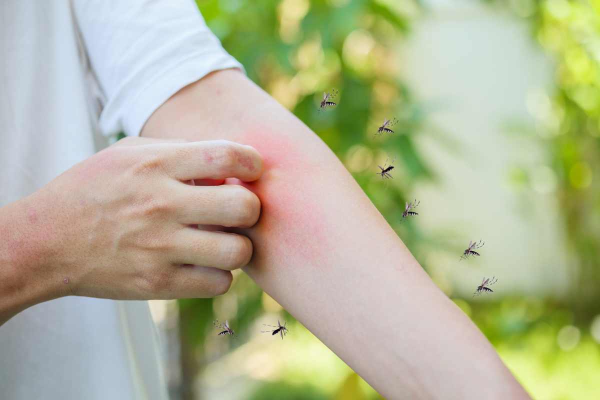 metodo giapponese contro le zanzare