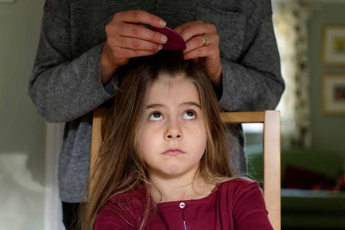 tornano i pidocchi a scuola