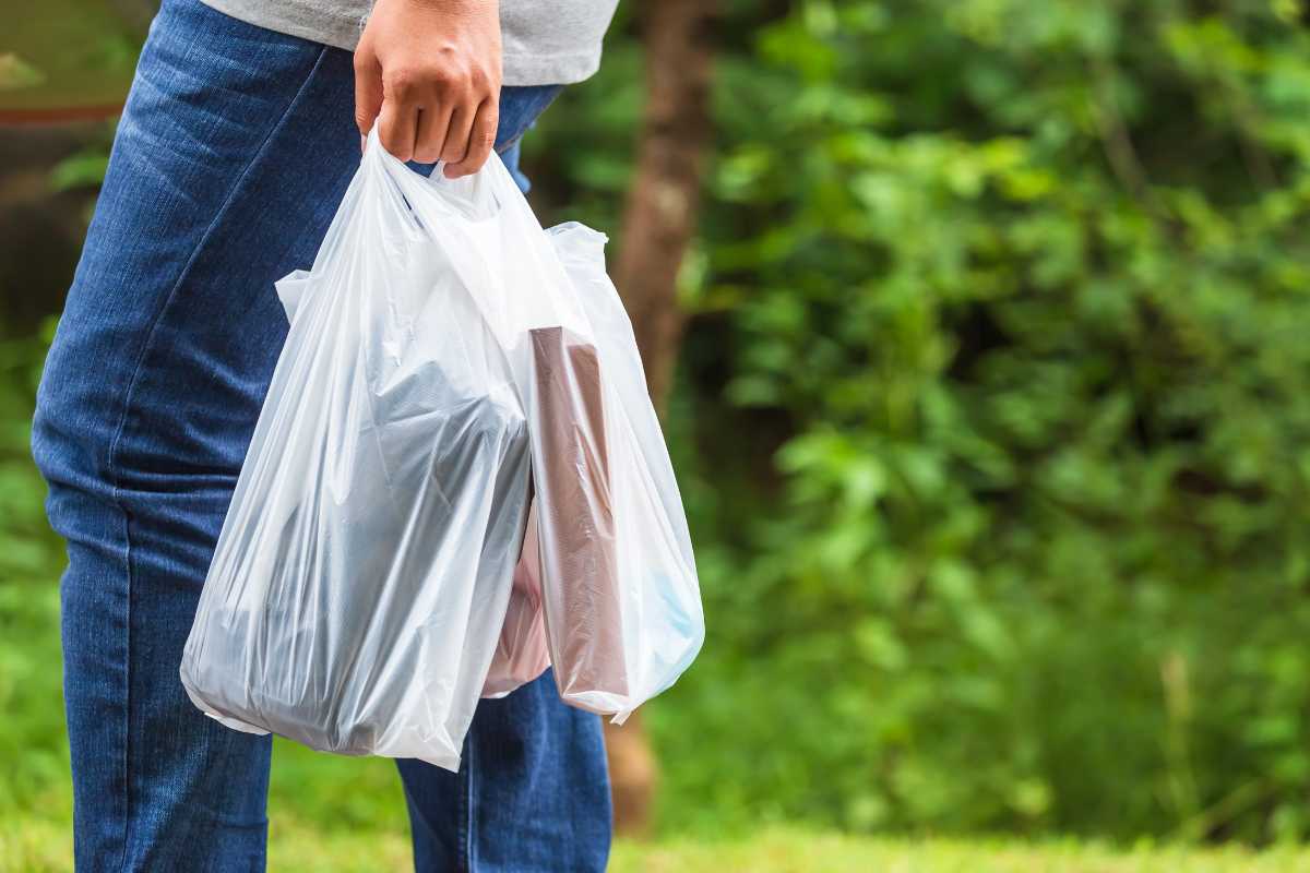 sacchetti per la spesa pulizie di casa