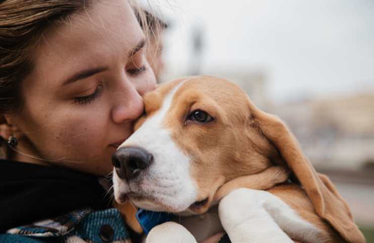 Bonus animali domestici