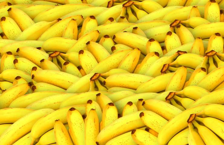 l'annerimento delle banane è causato dall'etilene