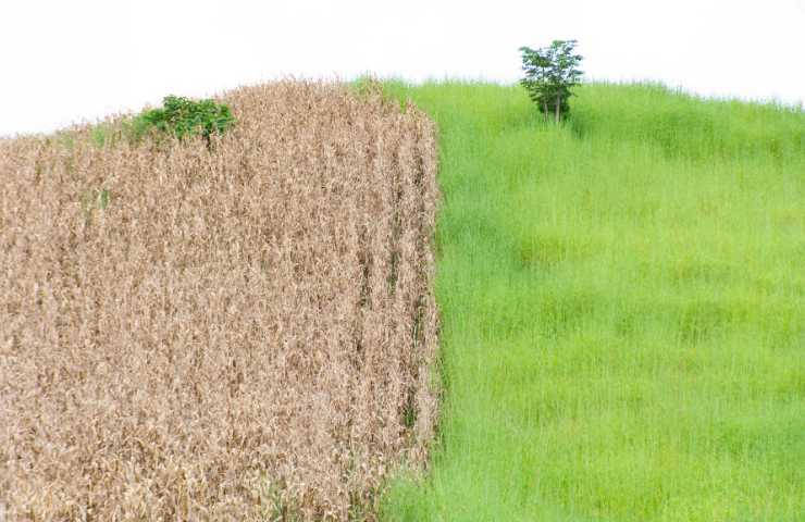 inflazione e cambiamenti climatici: ecco le cause devastanti