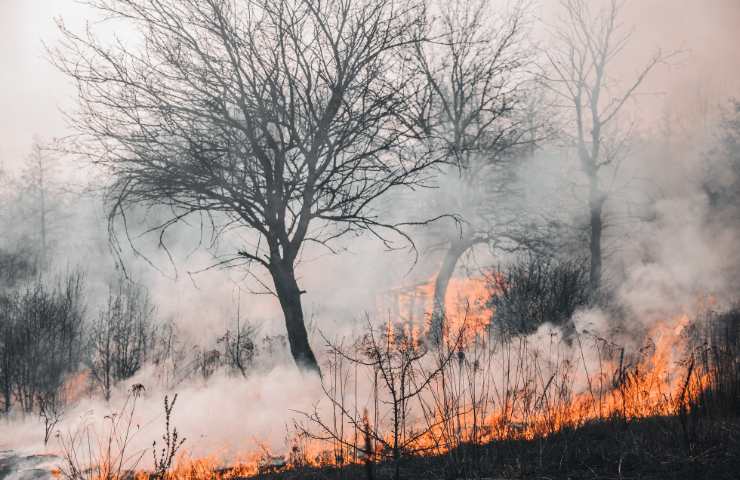 incendi a los angeles: ecco cosa li ha causati