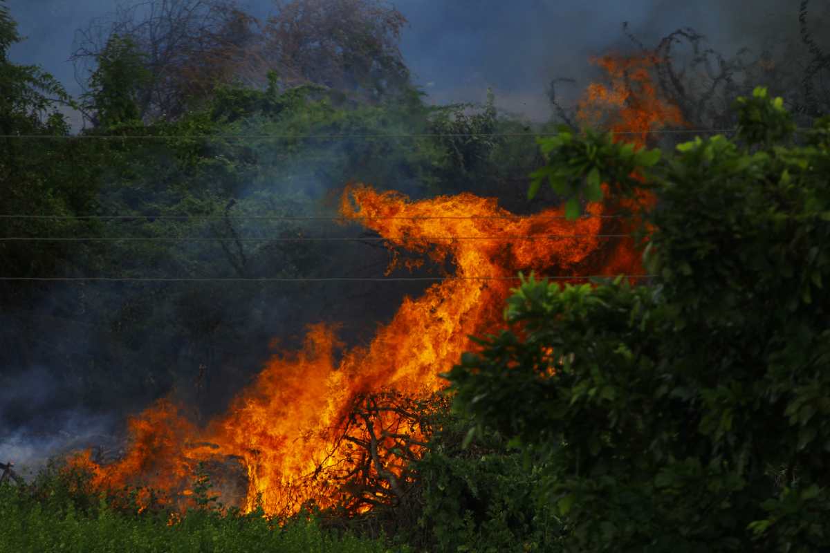 tutte le cause che hanno provocato gli incendi a los angeles