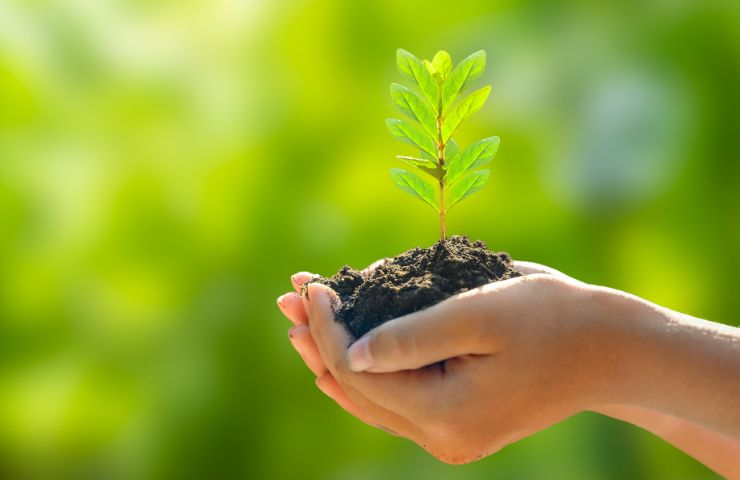 ecco le opportunità di lavorare bene l'orto nella stagione invernale